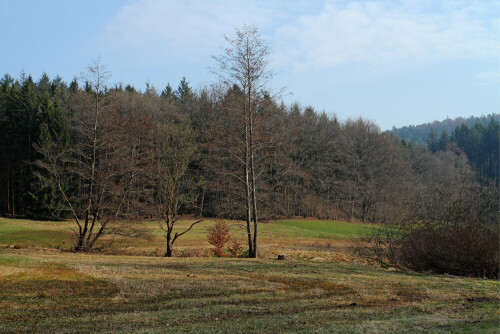 Krötenbrunnen, Wiesental

Aufnameort: Odenwald
Kamera: Canon EOS 60D