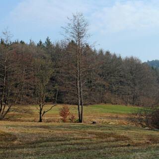 krotenbrunnen-28153