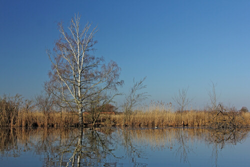 NSG

Aufnameort: Odenwald
Kamera: Canon EOS 60D