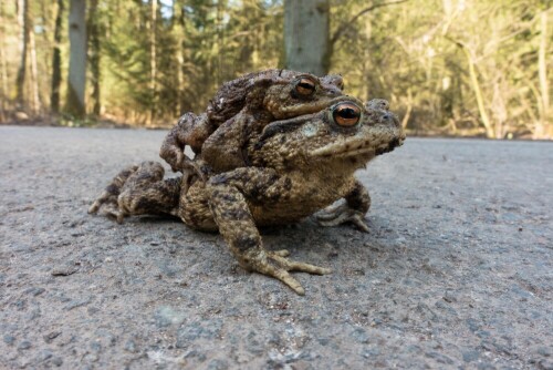 

Aufnameort: Meißendorf, Gut Sunder
Kamera: Sony RX100 III