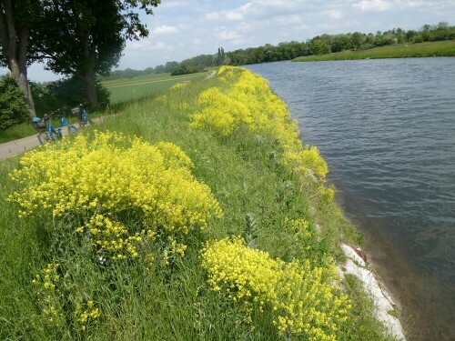 Am Donaukanal

Aufnameort: zwischen Delmensingen und Donaustetten
Kamera: Panasonic TZ 96 D