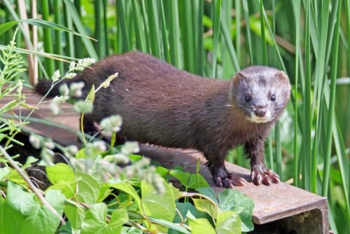 

Aufnameort: d steinhuder meer
