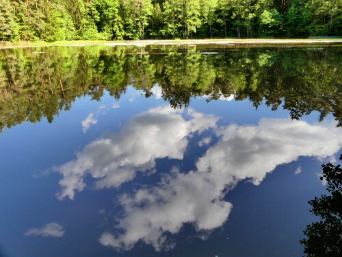 

Aufnameort: Wald bei Arberg
Kamera: Panasonic Lumix FZ 330