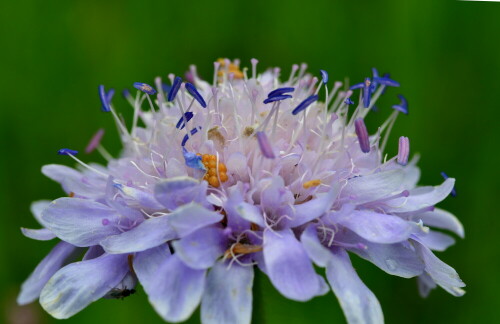 

Aufnameort: Weidenbach in meinem Garten
Kamera: Nikon D500