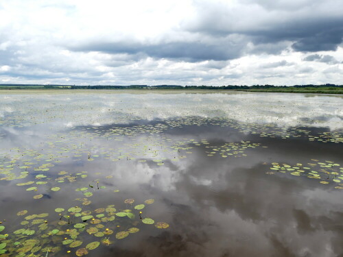 

Aufnameort: Federsee
Kamera: Panasonic Lumix FZ 330