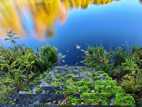 triesdorf-herbstfarbung-im-weiherspiegel-29010.jpeg