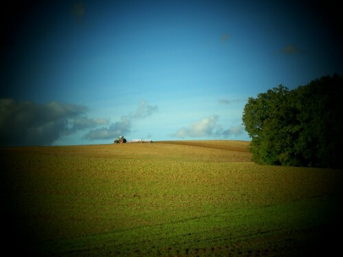 herbstfurche-mit-traktor-29028.jpeg