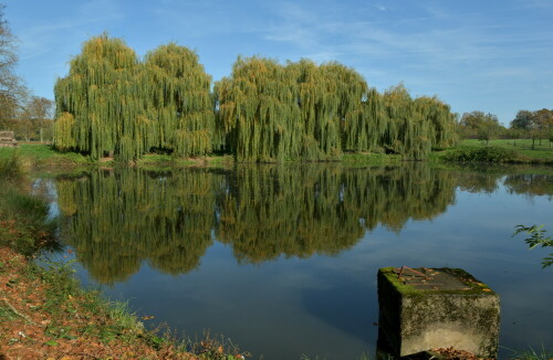 triesdorf-spiegelung-der-traue-29099.jpeg