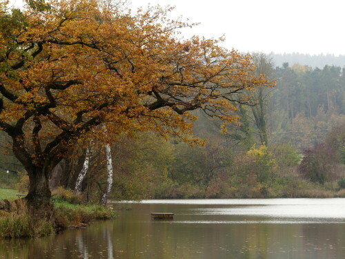 

Aufnameort: Brunner Weiher
Kamera: Panasonic Lumix FZ 330