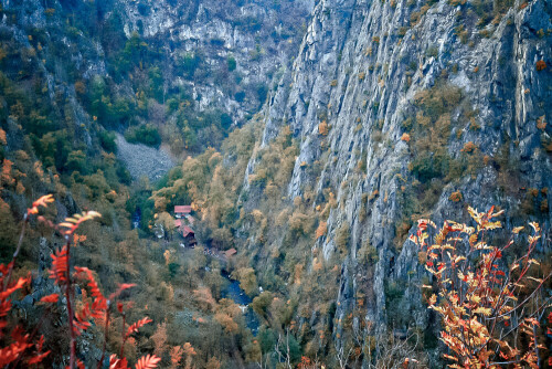 blick-von-der-festung-regenstein-ins-tal-29076.jpeg