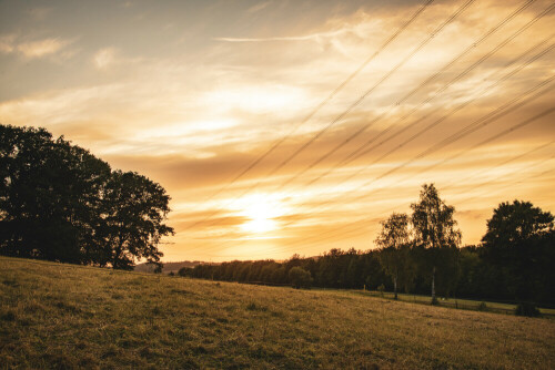 sonnenuntergang-auf-einer-weide-in-wiehl-bomig-29072.jpeg