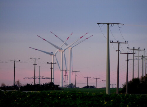energiewald-29082.jpeg