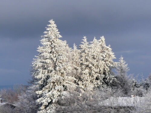 

Aufnameort: Nähe Kreuzberg Rhön
Kamera: Panasonic Lumix FZ 330