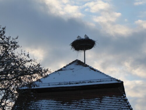 Überraschend kamen die Wiblinger Störche am 11.12. zu Besuch in ihr Nest. Wo sie sich sonst aufhalten......das ist hier die Frage?

Aufnameort: Wiblingen - Klosteranlage
Kamera: Panasonic Lumix TZ 71