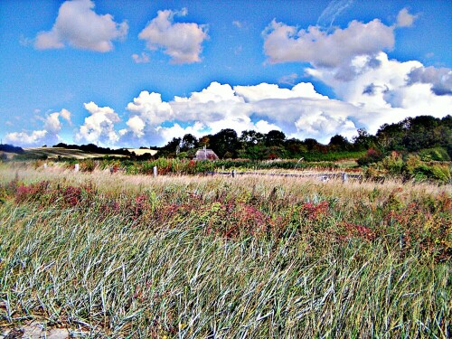 Das Dänischee Landhaus mit Stroh bzw. Ried gedeckt gliedert sich in die Strandlandschaft ziemlich unauffällig ein.
https://www.baunetzwissen.de/geneigtes-dach/fachwissen/dachdeckungen/reet-und-stroh-158485?img=3&layout=galerie

Aufnameort: Südosten von Dänemark Stevning
Kamera: Medion Camcorder