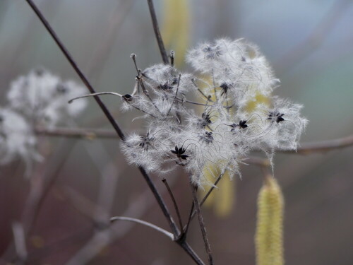 

Aufnameort: Hesselberg
Kamera: Panasonic Lumix FZ 330