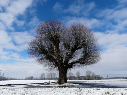 

Aufnameort: Weidenbach
Kamera: Panasonic Lumix FZ 330