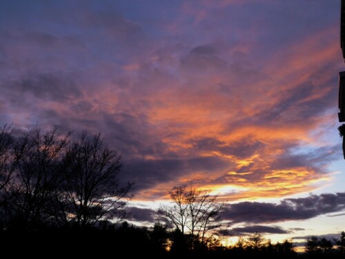 Z.Zt. tolle Sonnenuntergänge

Aufnameort: Wiblingen
Kamera: Panasonic Lumix TZ 71