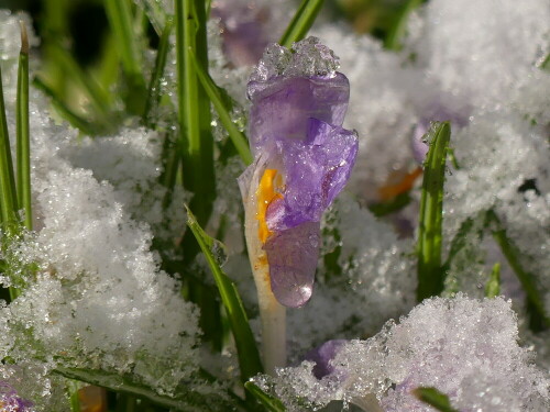 

Aufnameort: Weidenbach in meinem Garten
Kamera: Panasonic Lumix FZ 330