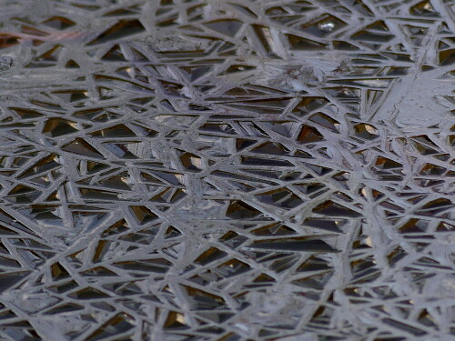 

Aufnameort: Weidenbach in meinem Garten
Kamera: Panasonic Lumix FZ 330