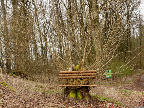 

Aufnameort: Weiherschneidbach Mühlweiher
Kamera: Panasonic Lumix FZ 330