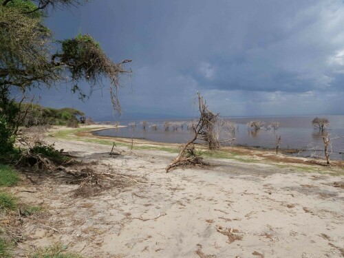 lake-manyara-29624.jpeg