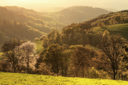 Abendstimmung auf der Kreidacher Höhe

Aufnameort: Odenwald
Kamera: Canon EOS 7D