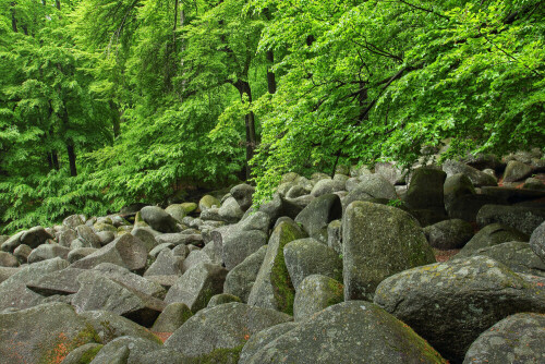 Felsenmeer

Aufnameort: Odenwald
Kamera: Canon EOS 60D