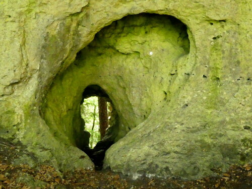 felsstruktur-wie-ein-baum-im-wald-bei-lichtenegg-29857.jpeg