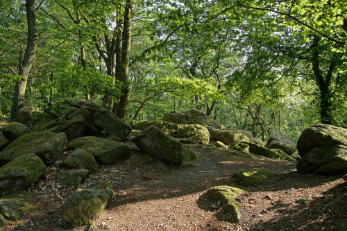 Naturdenkmal Lindenstein im Odenwald

Aufnameort: Odenwald
Kamera: Canon EOS 7D