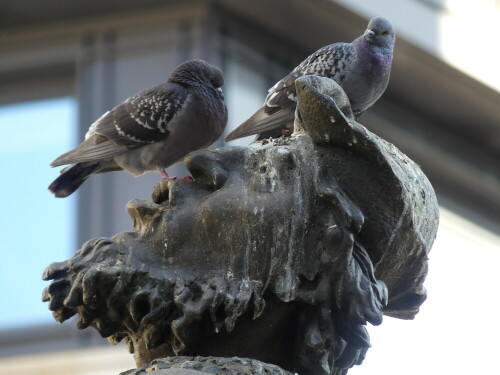 ehebrunnen-nurnberg-ob-er-hunger-oder-durst-hat-29922.jpeg