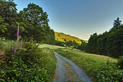 Abendstimmung im Dürr-Ellenbach Tal

Aufnameort: Odenwald
Kamera: Canon EOS 7D