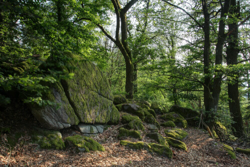 Naturdenkmal Lindenstein im Odenwald

Aufnameort: Odenwald
Kamera: Canon EOS 7D