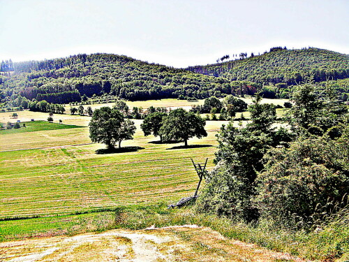 blick-vom-rommelsberg-nach-ost-29998.jpeg