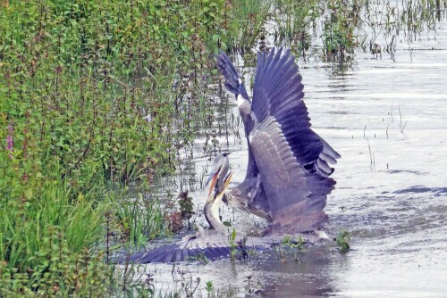 

Aufnameort: d lippborg
