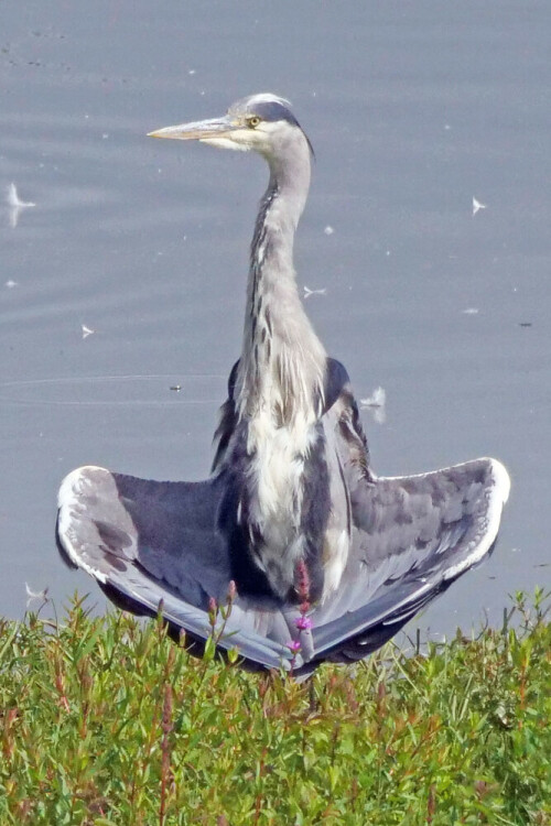 

Aufnameort: d lippborg
