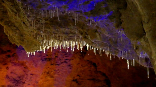 

Aufnameort: Teufelshöhle
Kamera: Panasonic Lumix FZ 330