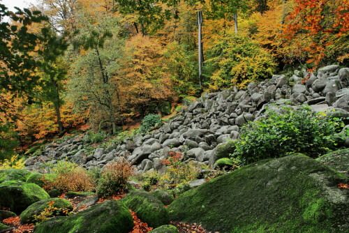 Das Felsenmeer im Odenwald

Aufnameort: Odenwald
Kamera: Canon EOS 7D