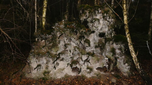 

Aufnameort: Triesdorf im Wald
Kamera: Panasonic Lumix FZ 330