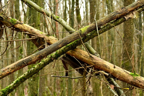 kreuz-und-quer-30668.jpeg