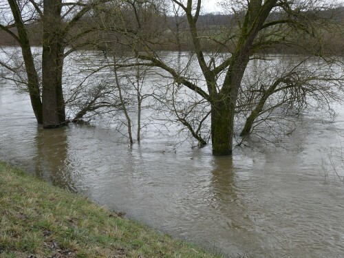 Hochwasser an der Donau bei Erbach

Aufnameort: Erbach
Kamera: Panasonic TZ 96 D