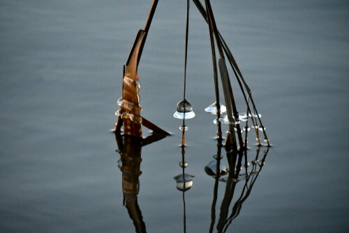 

Aufnameort: Altmühlsee
Kamera: Nikon D500