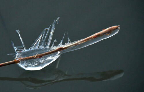 

Aufnameort: Altmühlsee
Kamera: Nikon D500