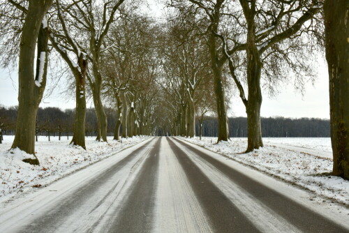 

Aufnameort: Triesdorf
Kamera: Panasonic Lumix FZ 330