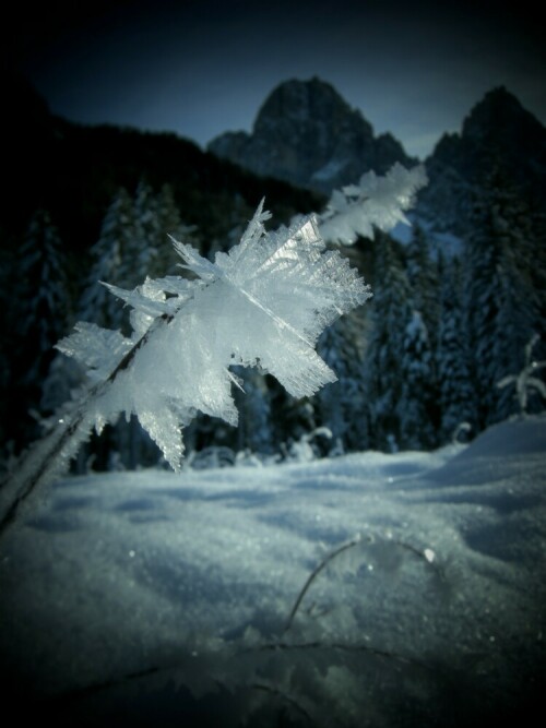 natürliche Eisblume vor Bergwelt

Aufnameort: Südtirol, Pustertal, Nähe Toblacher See,
Kamera: Nikon Coolpix P5100