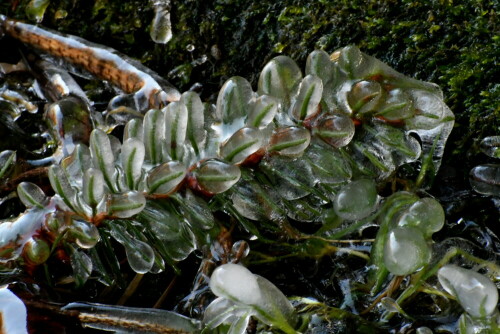 

Aufnameort: Bammersdorfer Spritzbrunnen
Kamera: Panasonic Lumix FZ 330