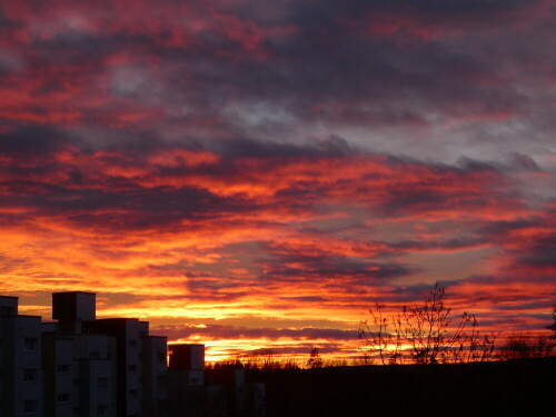 Toll, die Sonnenuntergänge im Moment

Aufnameort: Wiblingen
Kamera: Panasonic TZ 96 D