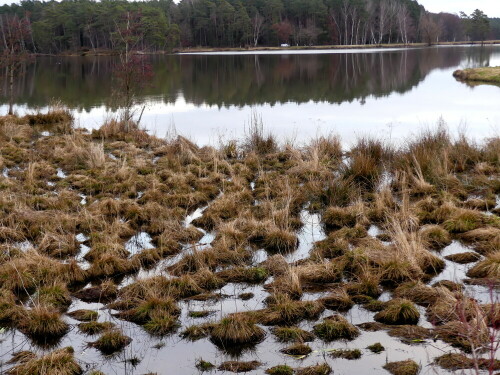 gartenparadies-brunn-moor-30845.jpeg