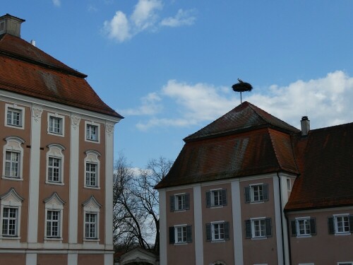 Auch die Wiblinger Störche sind da!

Aufnameort: Kloster Wiblingen
Kamera: Pansonic TZ D 96