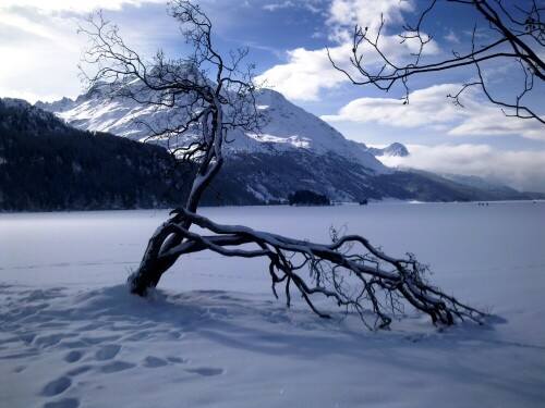 Winter am Silser See, Oberengadin CH

Aufnameort: Oberengadin, Schweiz
Kamera: Natel Nokia